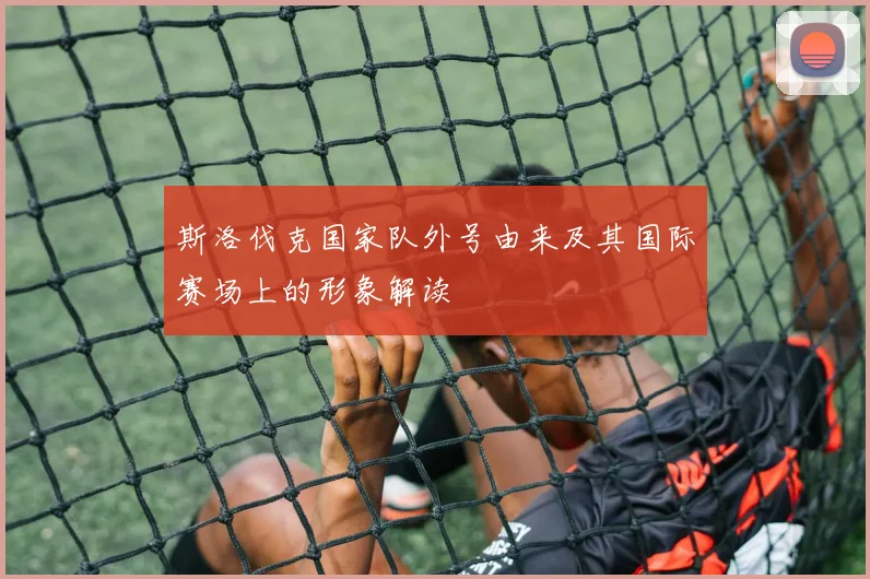 斯洛伐克国家队外号由来及其国际赛场上的形象解读