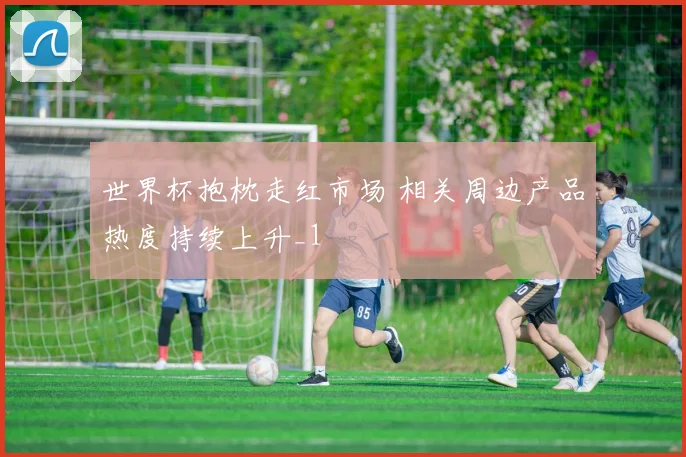 世界杯抱枕走红市场 相关周边产品热度持续上升_1