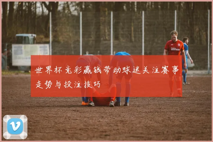世界杯竞彩赢钱带动球迷关注赛事走势与投注技巧