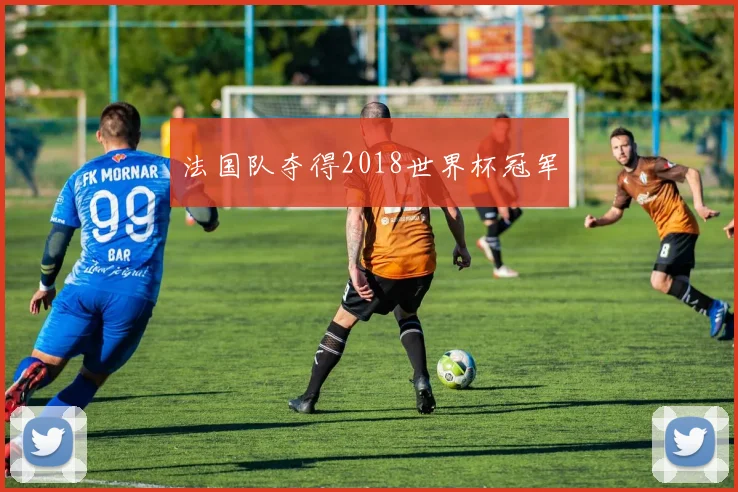 法国队夺得2018世界杯冠军