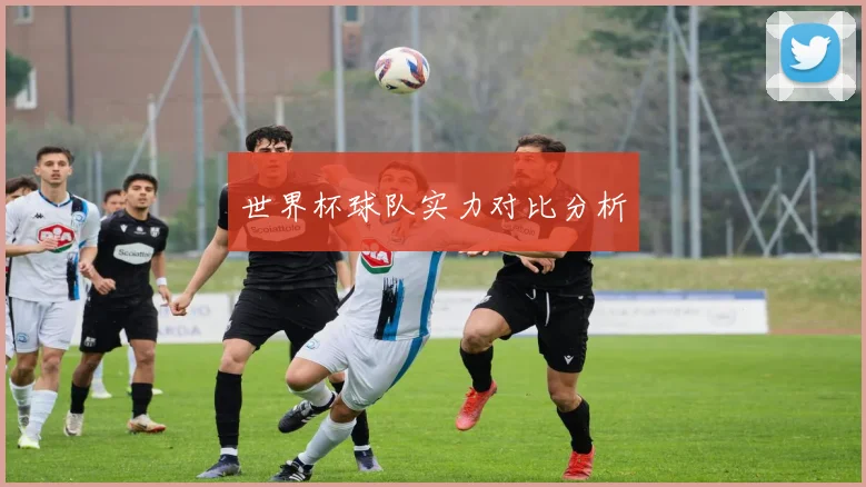 世界杯球队实力对比分析
