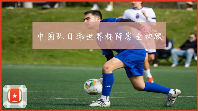 中国队日韩世界杯阵容全回顾