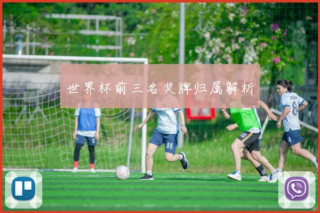 世界杯前三名奖牌归属解析