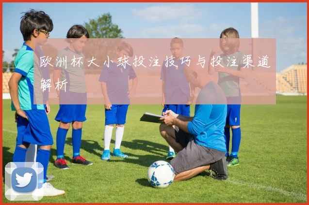欧洲杯大小球投注技巧与投注渠道解析