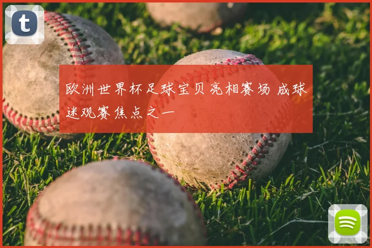 欧洲世界杯足球宝贝亮相赛场 成球迷观赛焦点之一