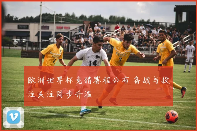 欧洲世界杯竞猜赛程公布 备战与投注关注同步升温