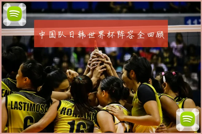 中国队日韩世界杯阵容全回顾