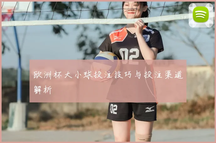 欧洲杯大小球投注技巧与投注渠道解析